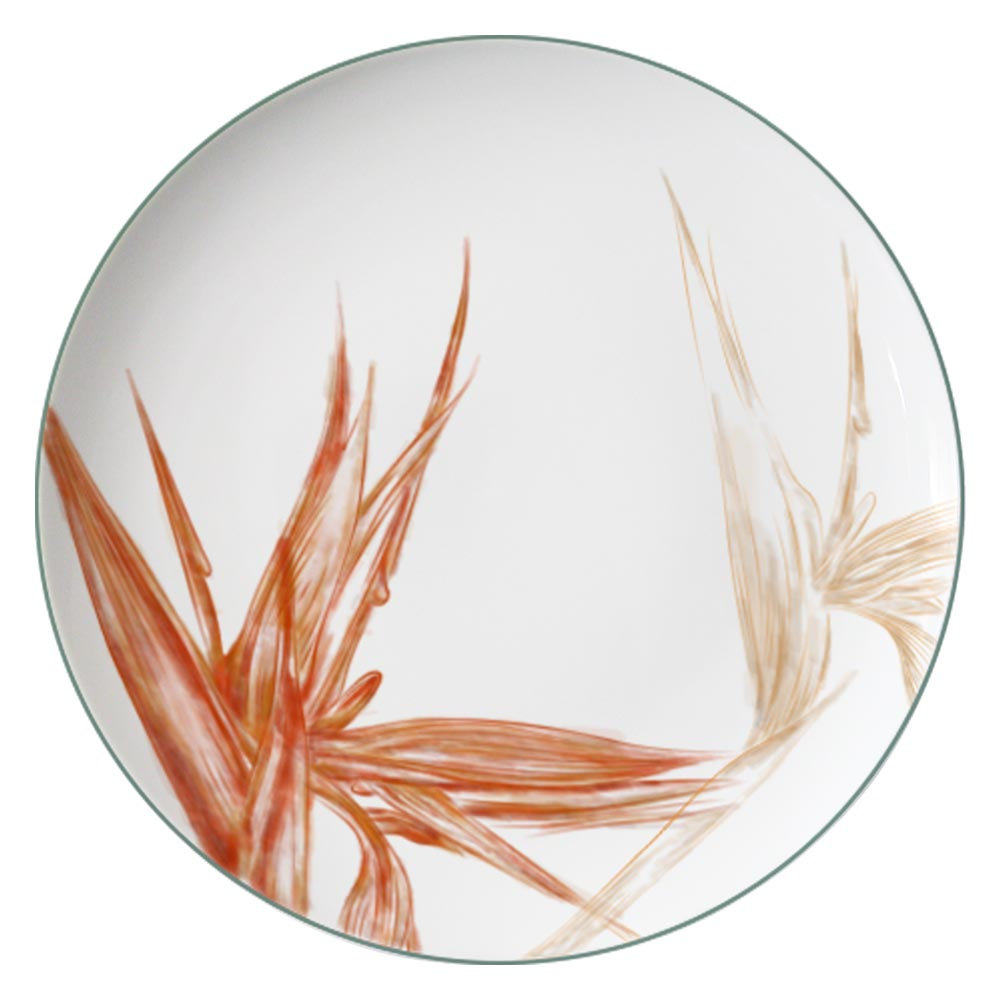 decal plate