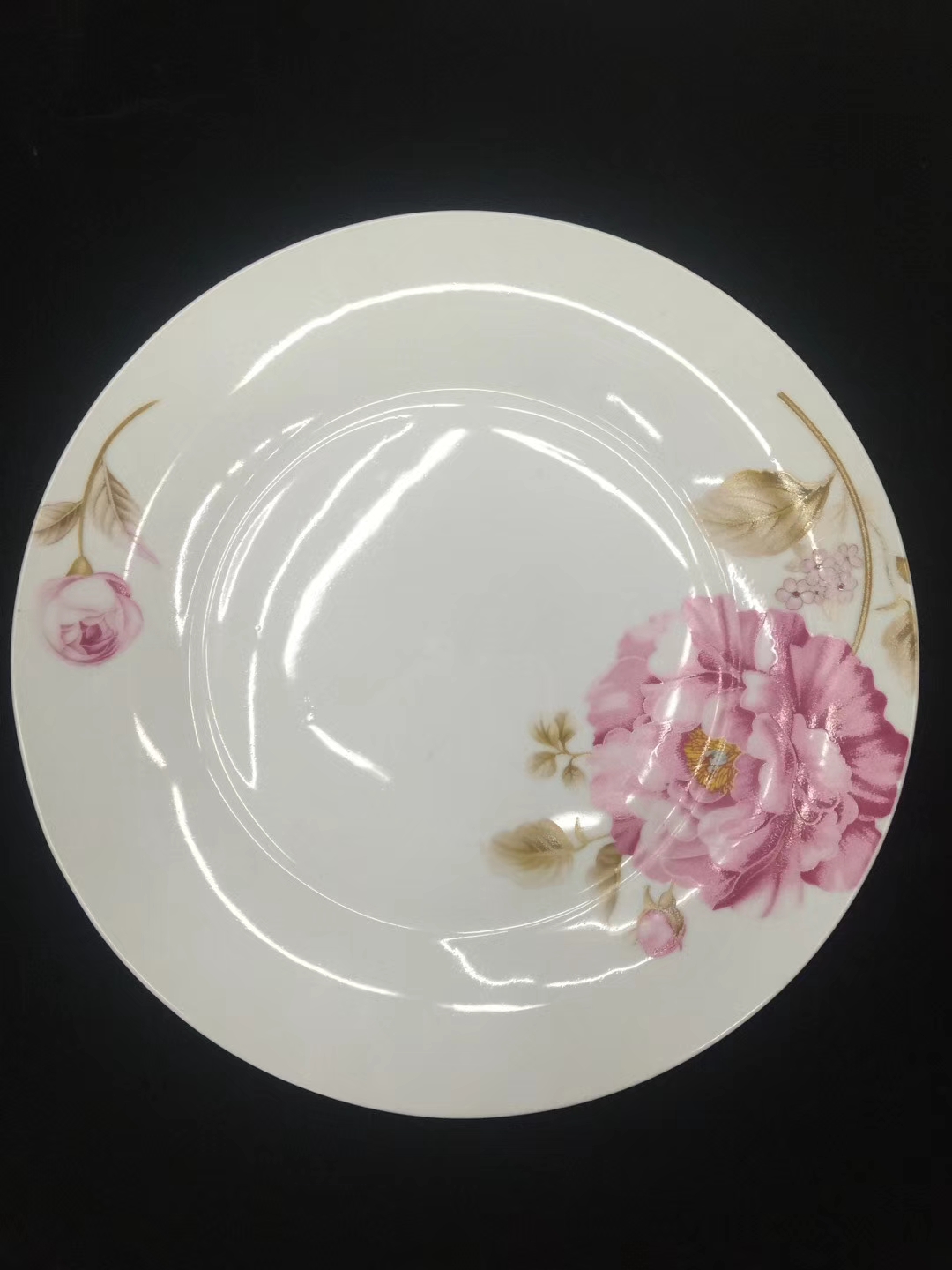 9.25"High Quality Dishes Dinner Plate