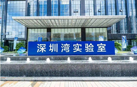 香港大学深圳研究院（深圳湾实验室）采购罗丹尼UV-100：等离子清洗机如何赋能生物医学科研？