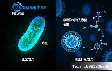 发光细菌法检测原理&mdash;&mdash;费氏弧菌代谢发光与重金属抑制机制