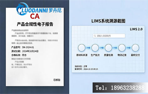 盐碘检测电子报告 CMA CA 签章 GB/T 13025.7-2012