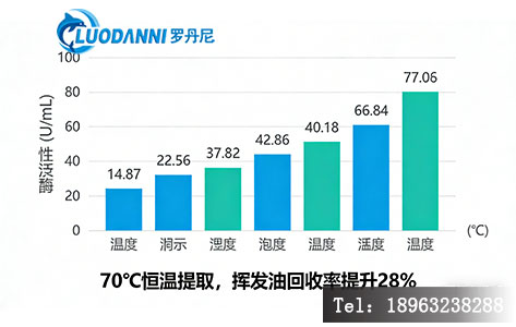 热敏成分保护对比实验图（如迷迭香挥发油或酶活性）