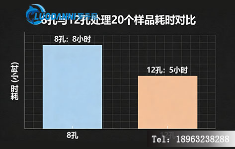 柱状图对比8孔与12孔处理20个样品的耗时差异(8小时 vs 5小时)
