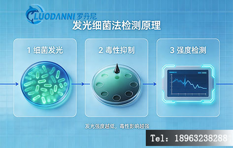 发光细菌法检测原理示意图，展示细菌发光 - 毒性抑制 - 强度检测的逻辑流程