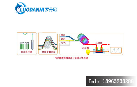 连续流动分析仪工作原理示意图（进样&rarr;试剂混合&rarr;反应模块&rarr;比色检测&rarr;数据处理全流程）