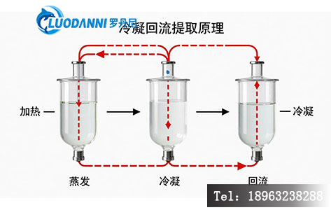 冷凝回流提取原理示意图