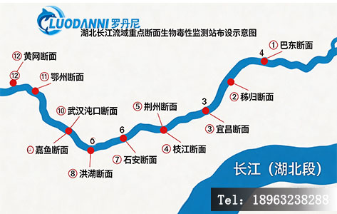 湖北长江流域重点断面生物毒性监测站布设示意图，标注12个监测点位