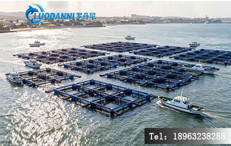 三亚深水抗风浪网箱养殖基地实景图，展示现代化海水养殖设施