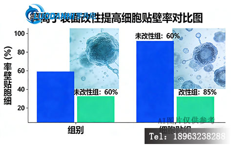 等离子表面改性提高细胞贴壁率对比图