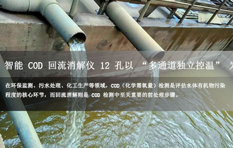 智能 COD 回流消解仪 12 孔：10 + 独立加热通道适配不同水样，多通道控温提升消解效率