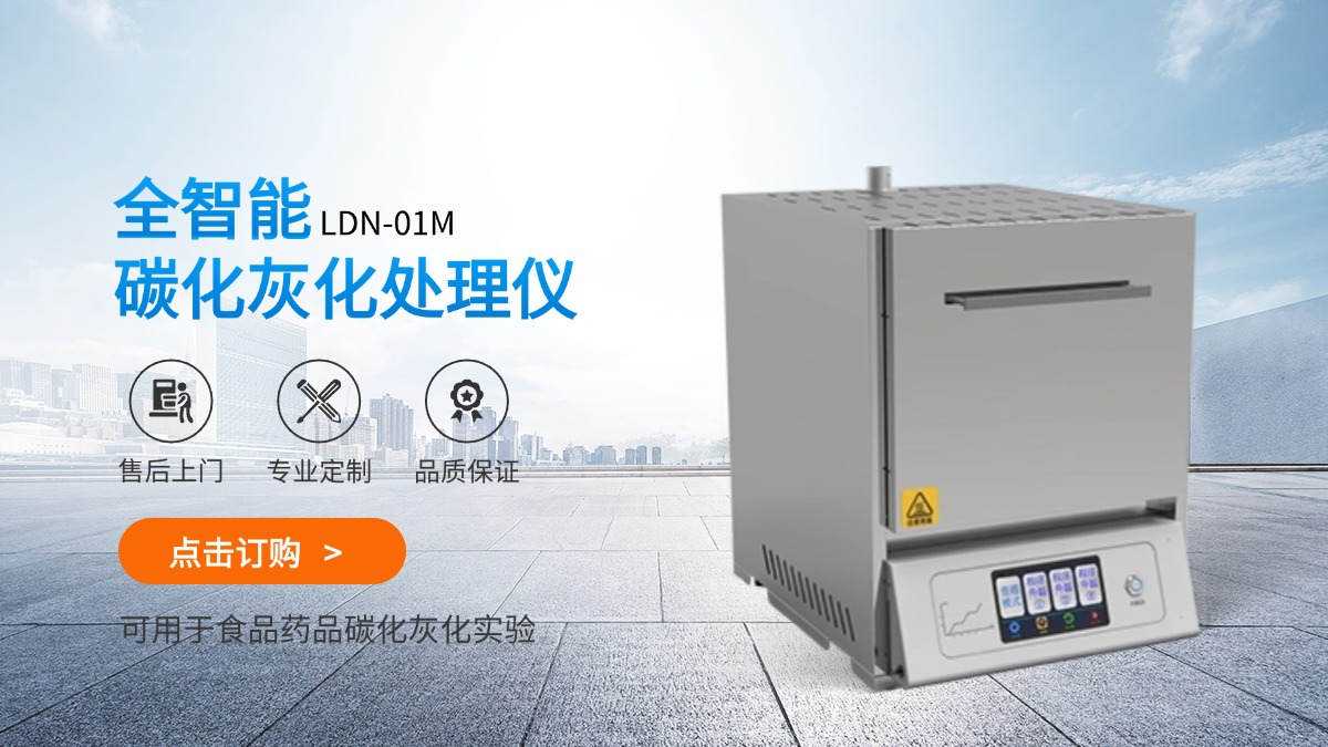 山东罗丹尼全智能碳化灰化处理仪生产厂家在线报价