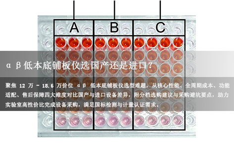 αβ低本底铺板仪选国产还是进口？12万-18.6万价位怎么选更划算？