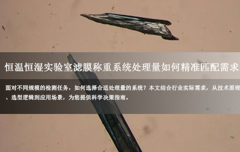 环境监测站与第三方检测机构必看：全自动恒温恒湿实验室滤膜称重系统处理量如何精准匹配需求？