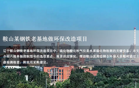 辽宁鞍山钢铁老基地环保改造用六路单独控制硫化物酸化吹气仪哪家有现货？