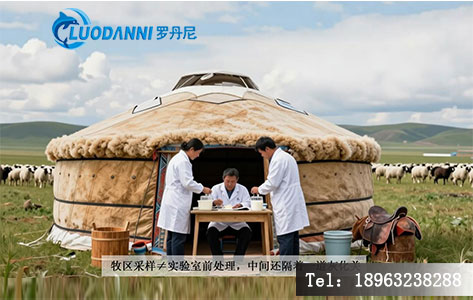 伊犁牧区采样现场示意：疾控人员在牧民家采集生鲜乳+羊肉样品，背景为草原与毡房