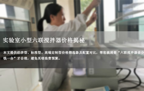 实验室小型六联搅拌器价格揭秘：2000元和2万元差在哪？一文看懂性价比