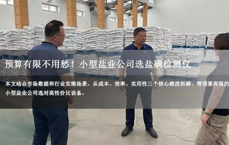 预算有限不用愁！小型盐业公司选盐碘检测仪：通道式vs单通道哪个更划算？