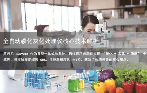 罗丹尼LDN-01M工作原理：全自动碳化灰化处理仪核心技术解析（食品/游离二氧化硅检测适用）