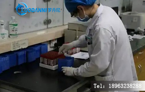 疾控中心生物安全实验室样品前处理工作场景