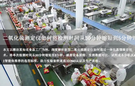 潍坊食品企业降本增效实录：二氧化硫测定仪如何将检测时间从30分钟压缩至5分钟？（附选型指南）