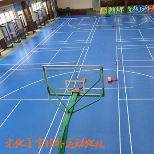 深圳大学师范学院附属坂田学校体育馆
