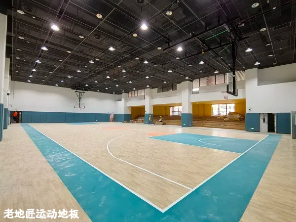 马田d