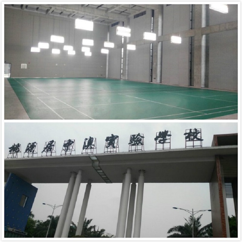 桃源居中澳实验学校体育馆