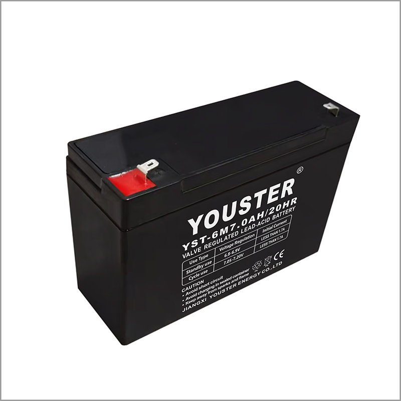 YST-6V7.0AH Battery for electronic scales