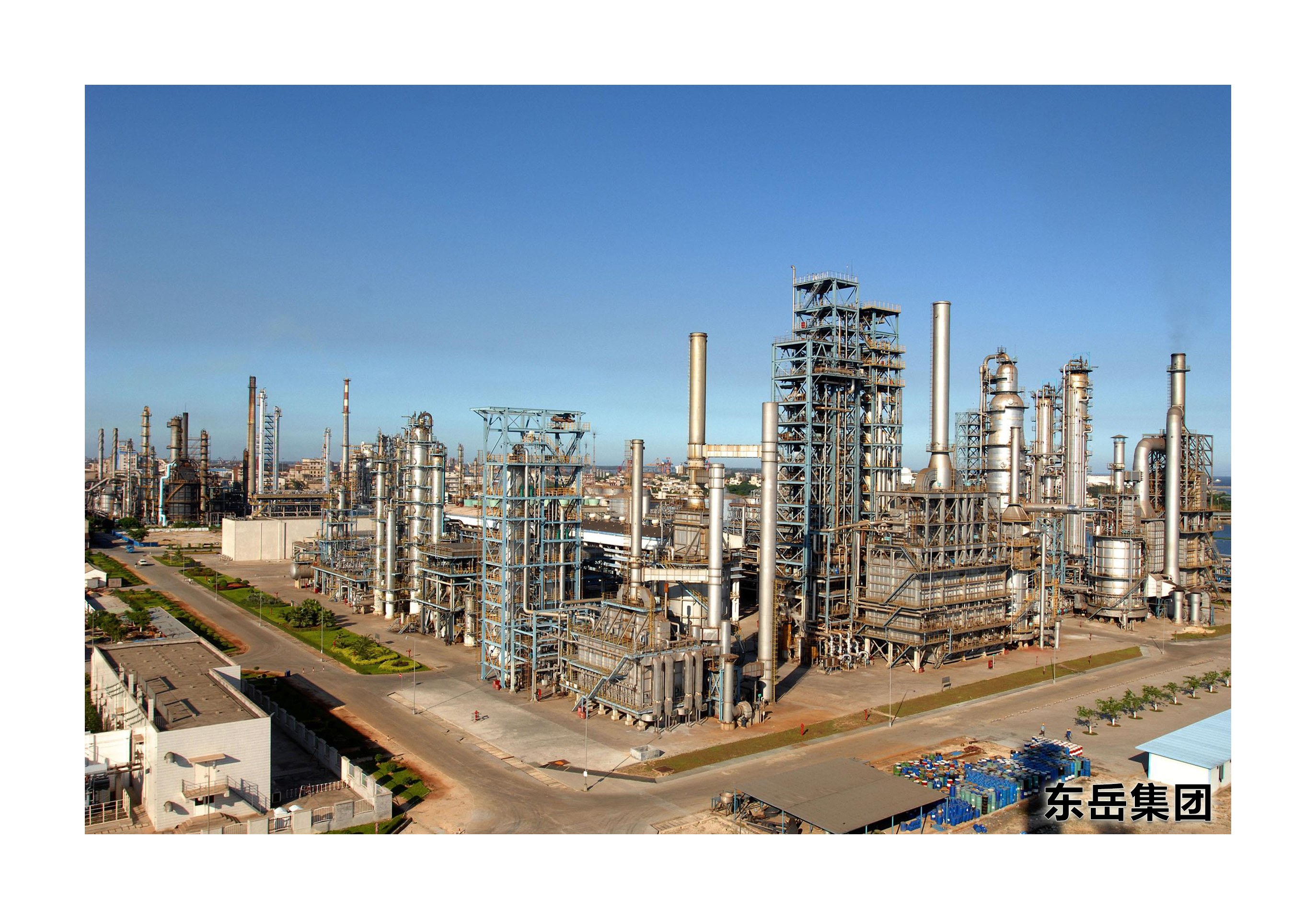 东岳集团(1)