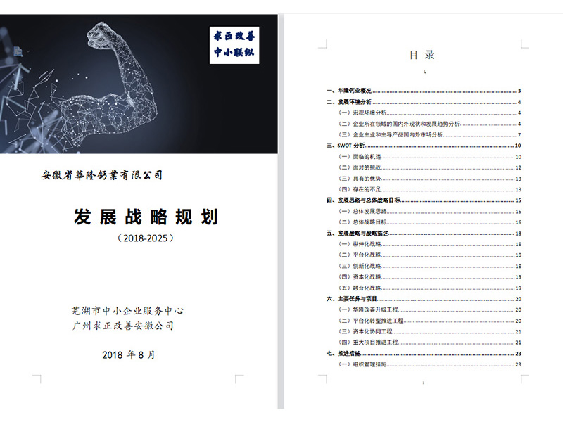 钙业公司发展战略规划