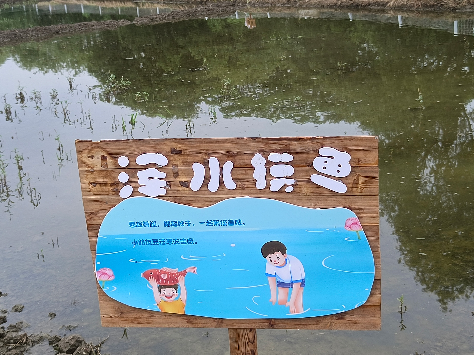 浑水摸鱼