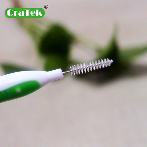 Interdental Toothpick Orthodontic Wire Brush Toothbrush
