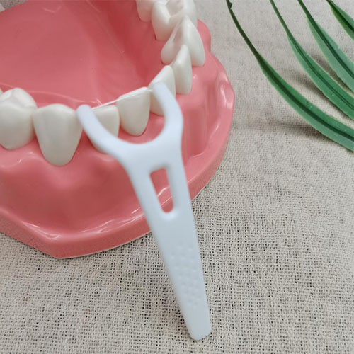 Orthodontic 2-Strings Dental Floss Pick In Manufacturers