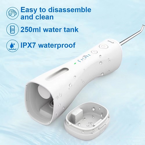 GTML-16 Limpiador dental eléctrico portátil con tanque de agua visual de 250 ml
