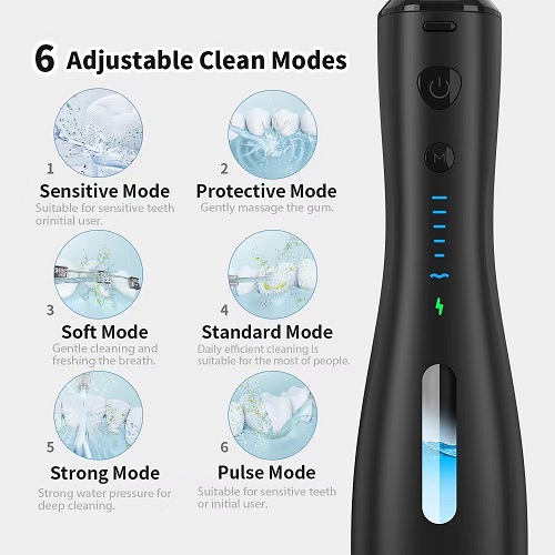 Nettoyeur dentaire électrique portatif de réservoir d'eau visuelle GTML-16 250ml