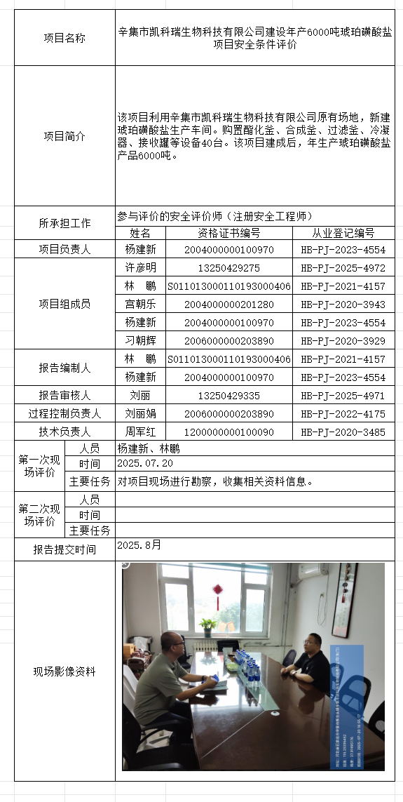1辛集市凯科瑞生物科技有限公司建设年产6000吨琥珀磺酸盐项目安全条件评价