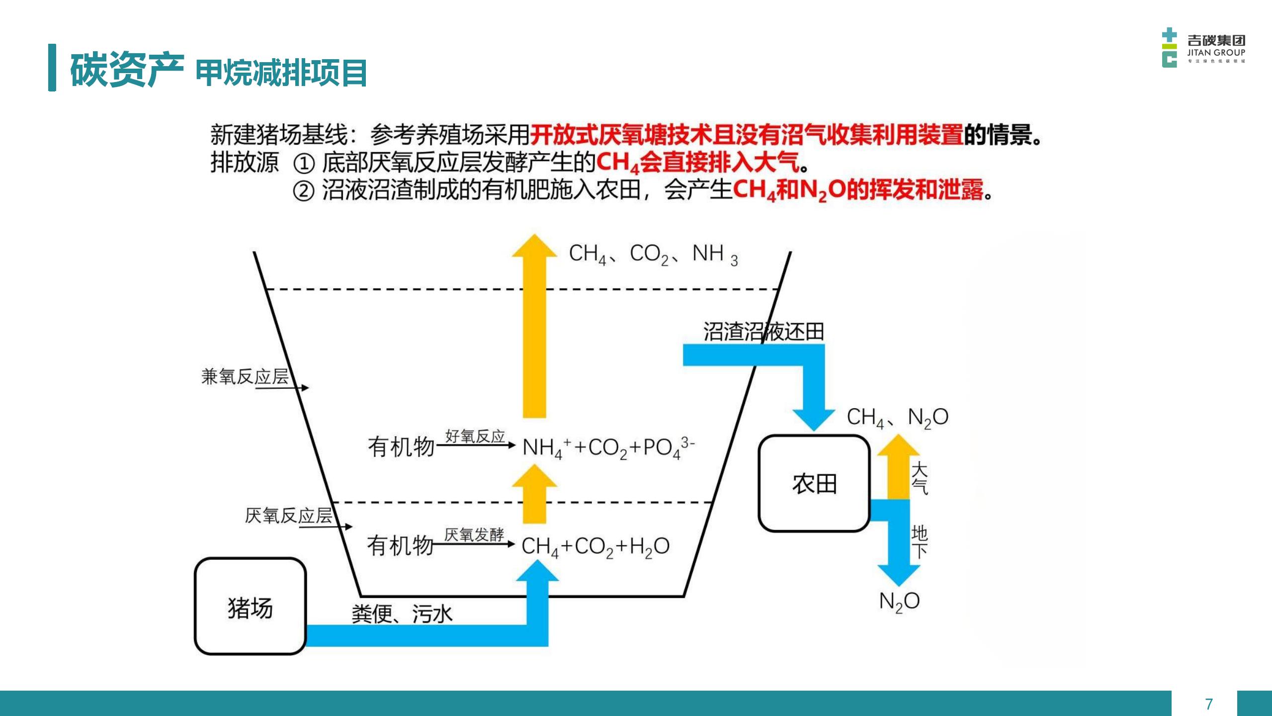 碳资产 (7)