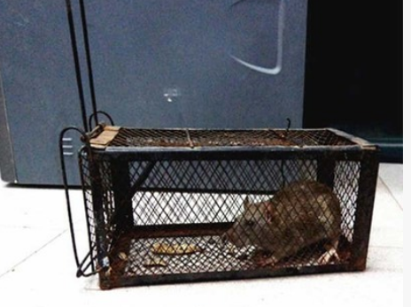 bb66da59ab6c2284804dec1f939efce5