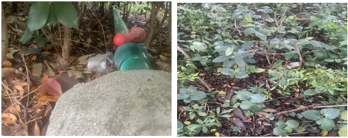 c7accff150fc100df60345b49c3acecc