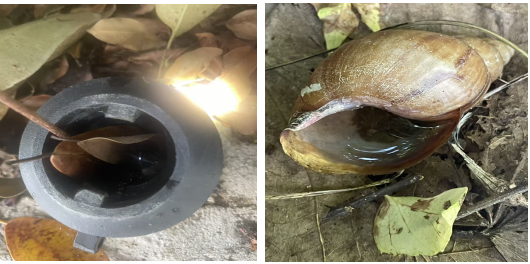 5fca52cfae61c7c3ca9c8fd5beee70f3