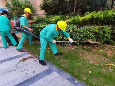 3ab542e2a62783c87387d010c79374ae