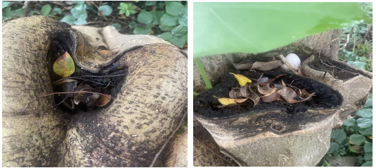 1fa7308cda5c13114c1d07ee9a482cf6