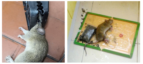 9d132d6b422c4c35f8ece392c5ea476e