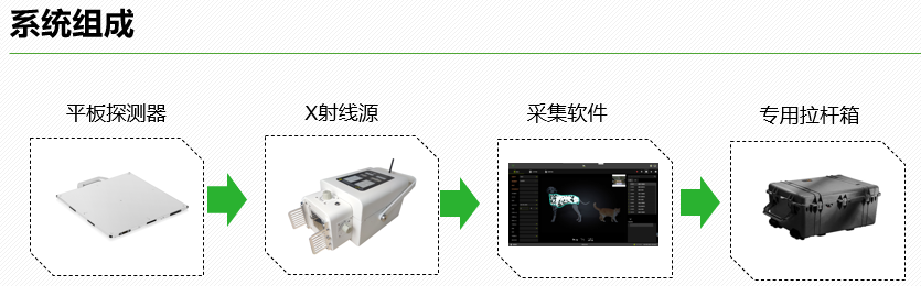 动物（警犬）X光检查系统2