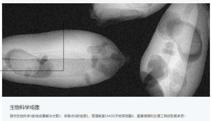 X射线检测方案5