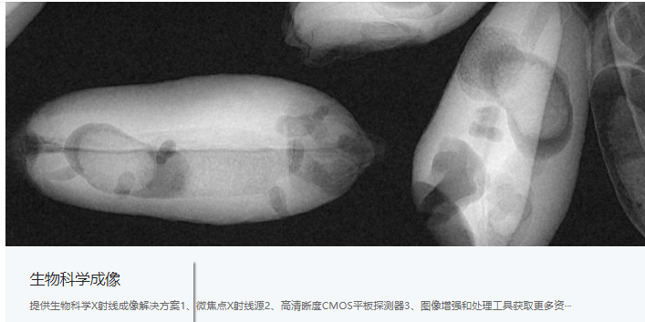 X射线检测方案4