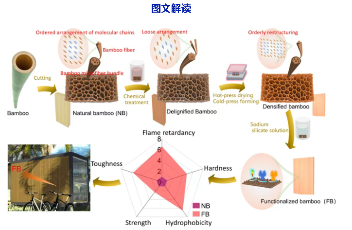 高强度、超疏水、阻燃、抑烟功能化竹材