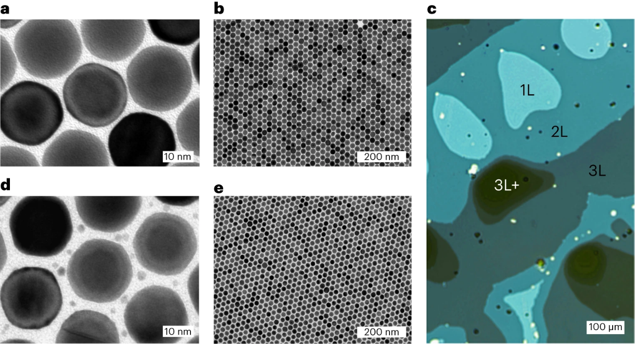 四川金中德科学技术研究院-光催化制氢！Nature Catalysis：二维超晶体，产率139 mmol g⁻¹cat h⁻¹！