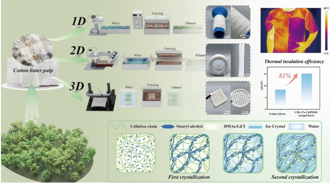 2月上旬生物质领域的最新核心文献与研究动态