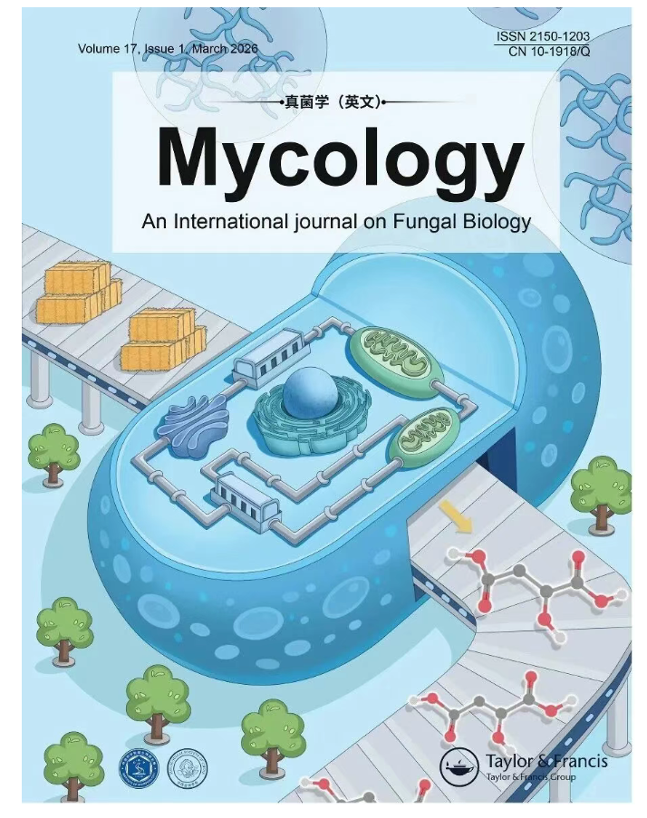 中科院天工所解锁生物质一步法高效合成L-苹果酸新路径